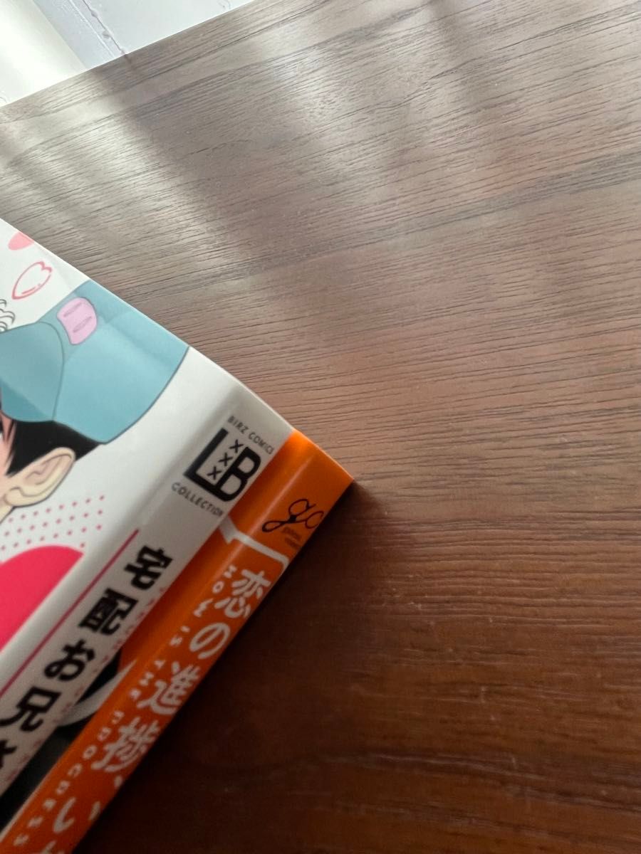 BL新刊 泡山わわ 野田のんだ 恋の進捗、いかがでしょうか。 宅配お兄さんとデキるかな アニメイト特典リーフレット付き 美品