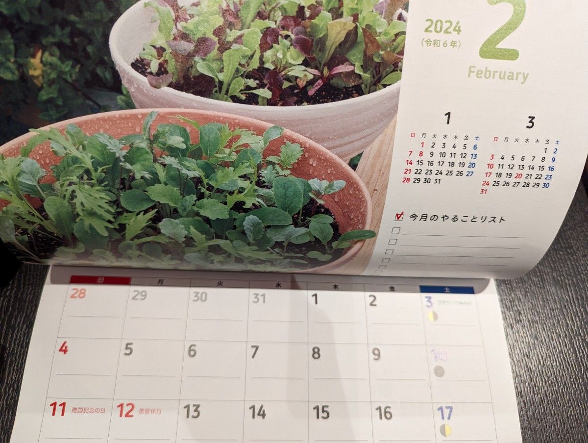 菜園カレンダー＆土と野菜の活力剤 