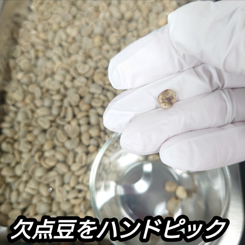 【 豆 】 ブラジル No2 クイーンショコラ 100g 83点 スペシャルティ コーヒー 珈琲 自家焙煎 モヒロコーヒー