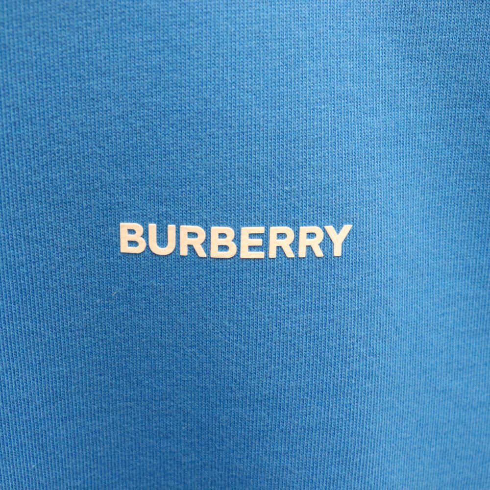 BURBERRY バーバリー ICECREAM アイスクリームプリント クルーネックスウェットトレーナー ブルー8071240_画像5