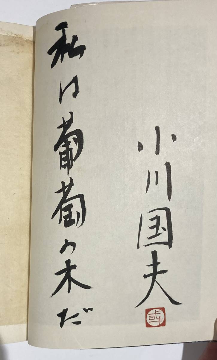 小川国夫　識語　署名　入り　サイン　落款印　まとめて　4冊　初版　落款　角川文庫　河出書房新社_画像6