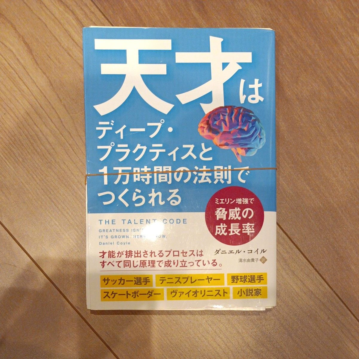 裁断済 天才はディープ・プラクティスと１万時間の法則でつくられる　ミエリン増強で脅威の成長率 （フェニックスシリーズ　８５） ダニ