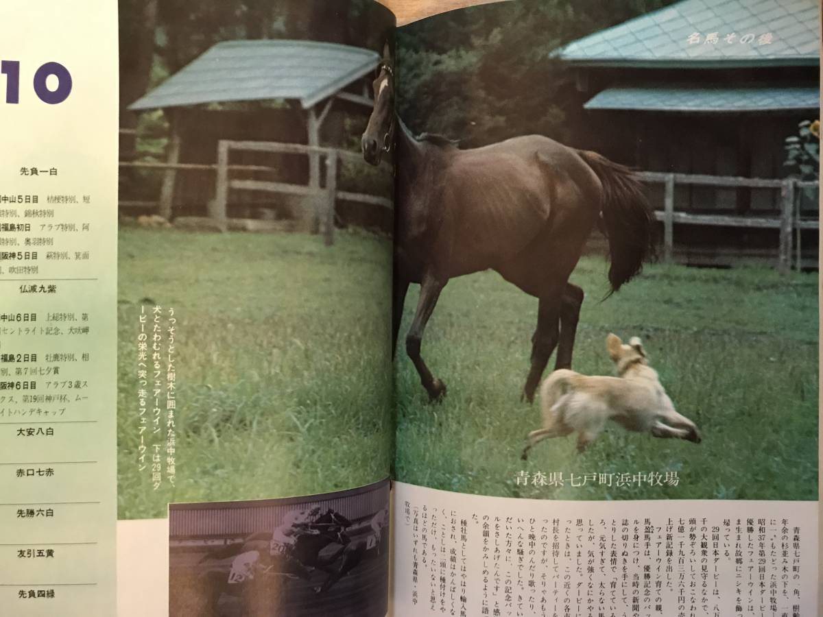 週刊競馬報知 ケンサチオー/フェアーウイン/ヒロキャプテン/馬のドッキリ名場面集/カツタイコウ/ミネラルシンボリ/ゼンマツ/昭和46年_画像6