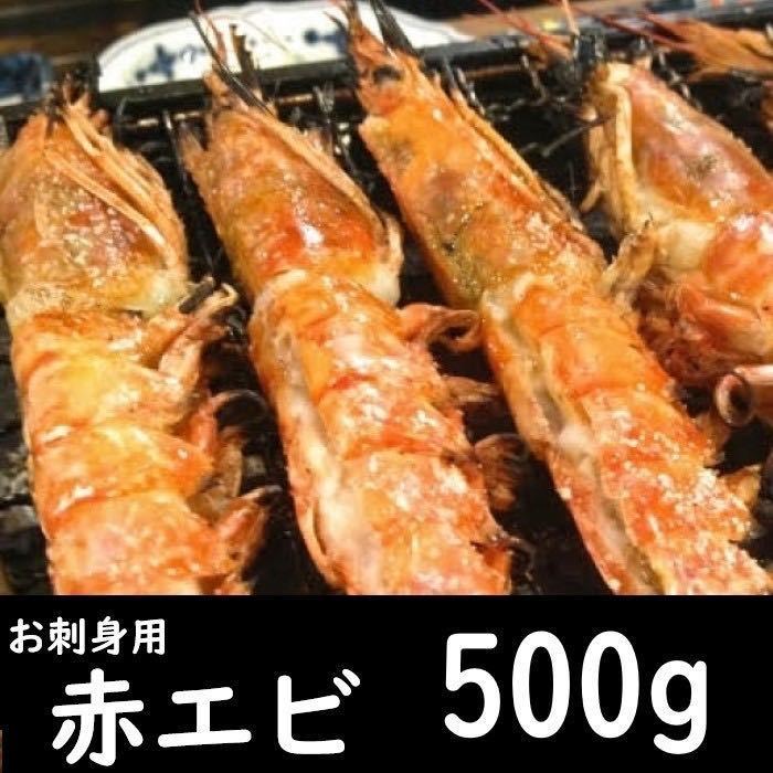 [Сашими, горячий горшок, жареный] Большой красные креветки 500 г для испытаний в середине -лечебных подарках akaebi aka sushi sushi sushi