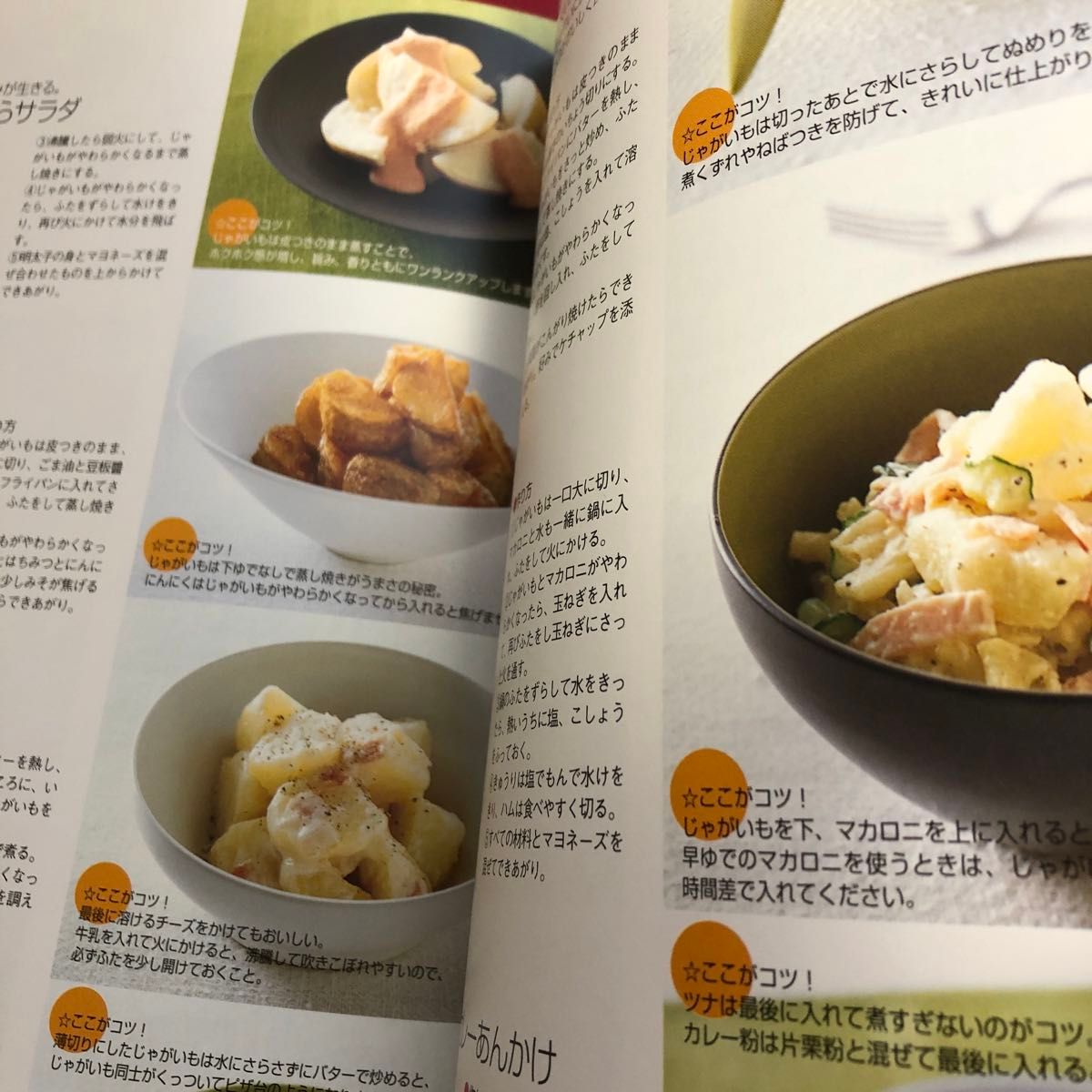 おくぞの流簡単激早ヘルシー野菜おかず２７１ （おくぞの流簡単激早） 奥薗寿子／著