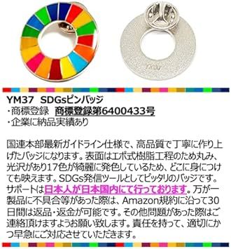 【国連本部公式最新ガイドライン仕様】 SDGs バッジ 25mm sdgs バッチ ピンバッチ ギフト（1個） 銀色 シルバー 表_画像3