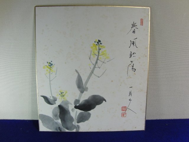 特選品　YB-130　一渓山人画　菜の花図　紙本　書画　色紙　日本画_画像9