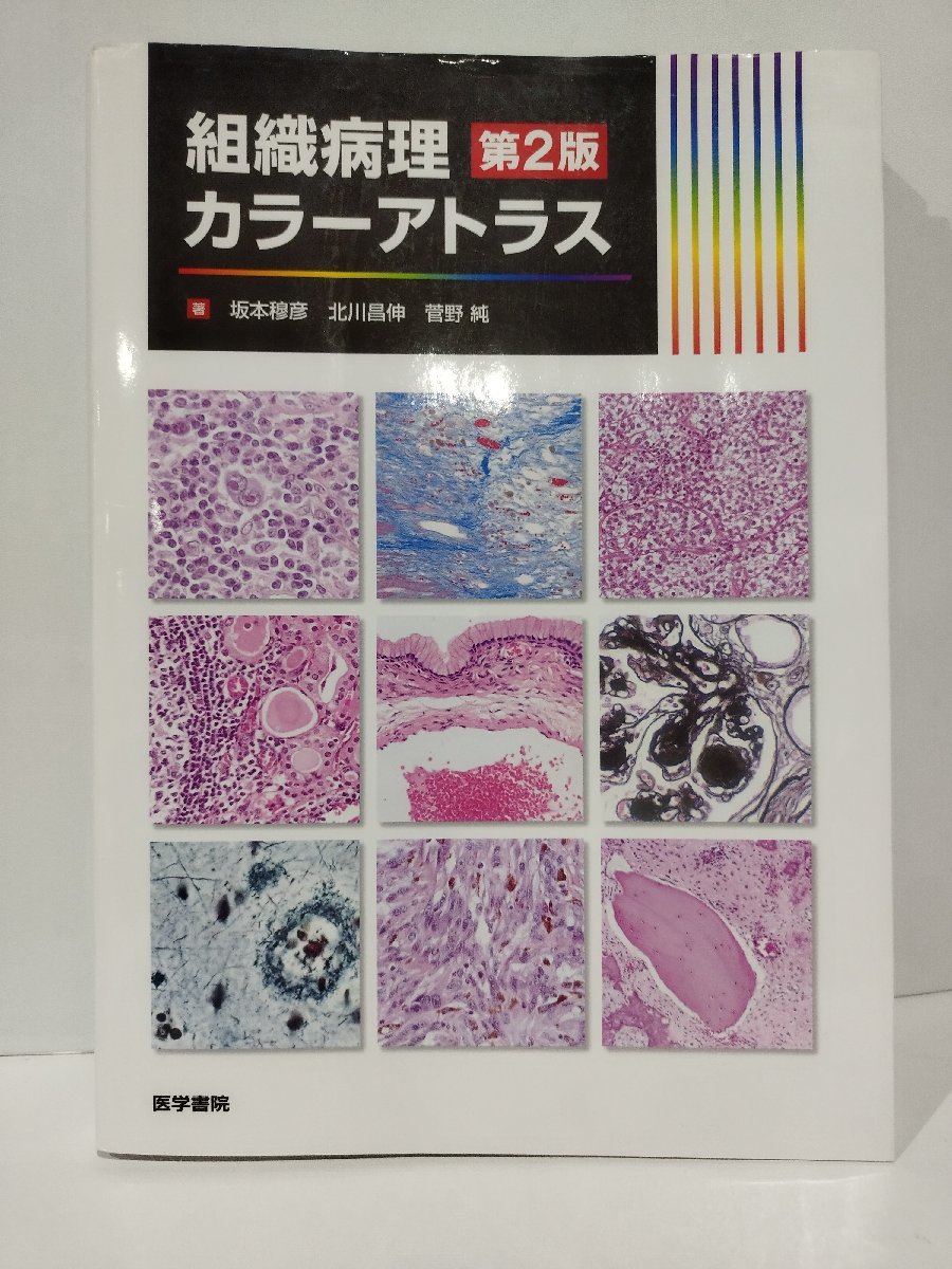 組織病理カラーアトラス　第2版　坂本穆彦/北川昌伸/菅野純　医学書院【ac03n】_画像1