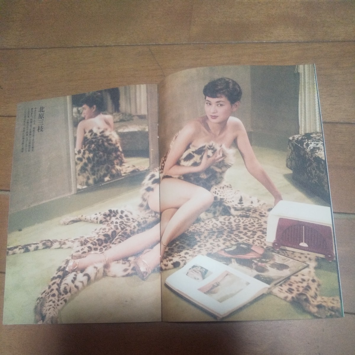 雑誌付録品 愛蔵版 総天然色写真集 昭和の女優は美しい 16P 関根恵子
