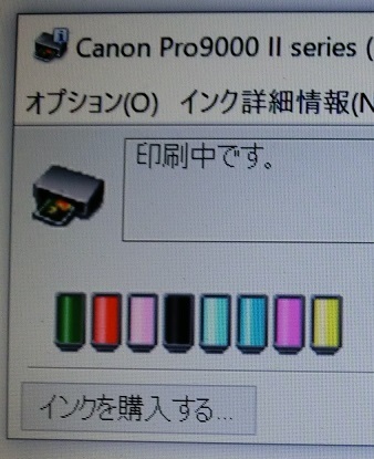 キャノンCanon　Pro9000 MarkⅡ　累計印刷7492枚　廃インク20.1％　純正インクほぼ満タン　Pro9000MarkII_画像6
