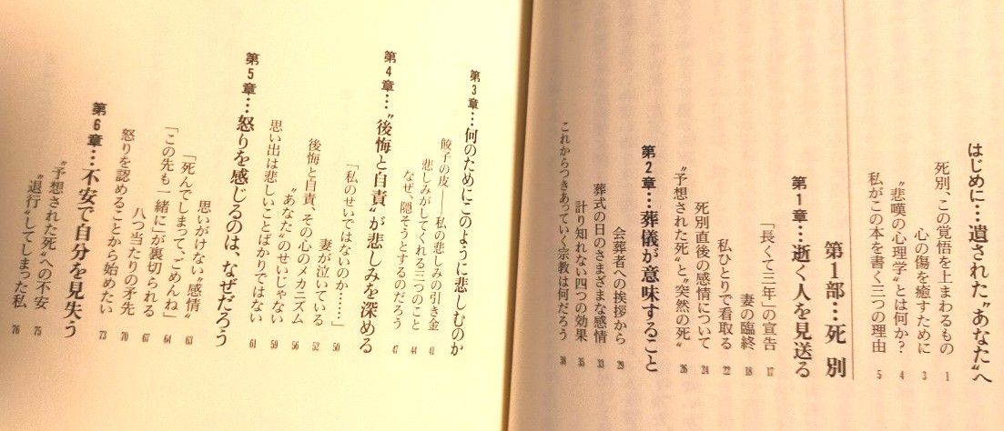 愛する人の死、そして癒されるまで　妻に先立たれた心理学者の“悲嘆”と“癒し” 相川充／著