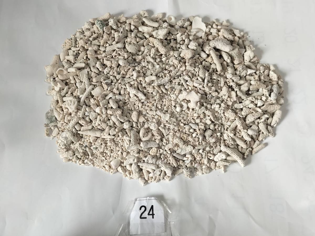 珊瑚砂 サンゴ砂 重さ1kg 沖縄県 管理番号24_画像2