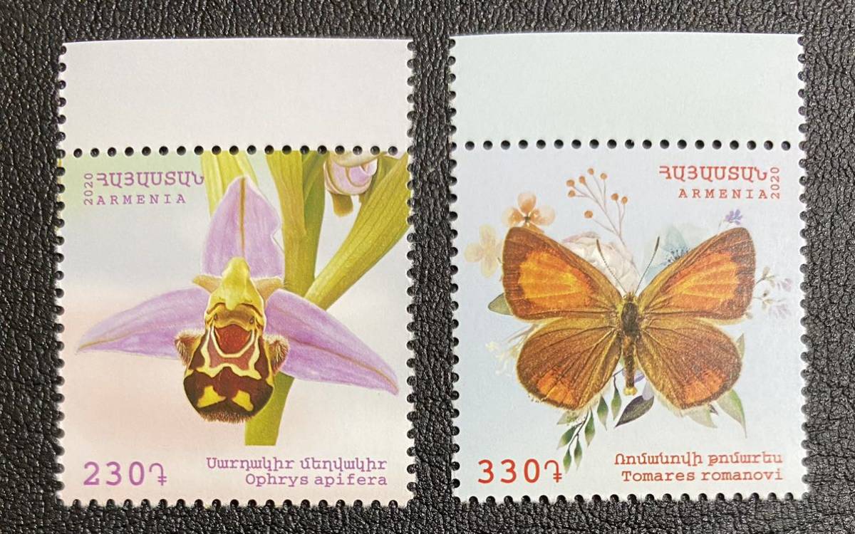 アルメニア 蝶 蘭 花 2種完 未使用 NHの画像1