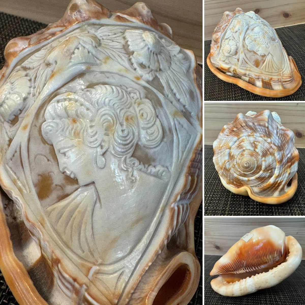 ☆シェルカメオ 万宝貝 イタリア製 CAMEO 貴婦人 彫刻☆約14×9×8cm 重さ323g☆インテリア☆置物☆_画像1