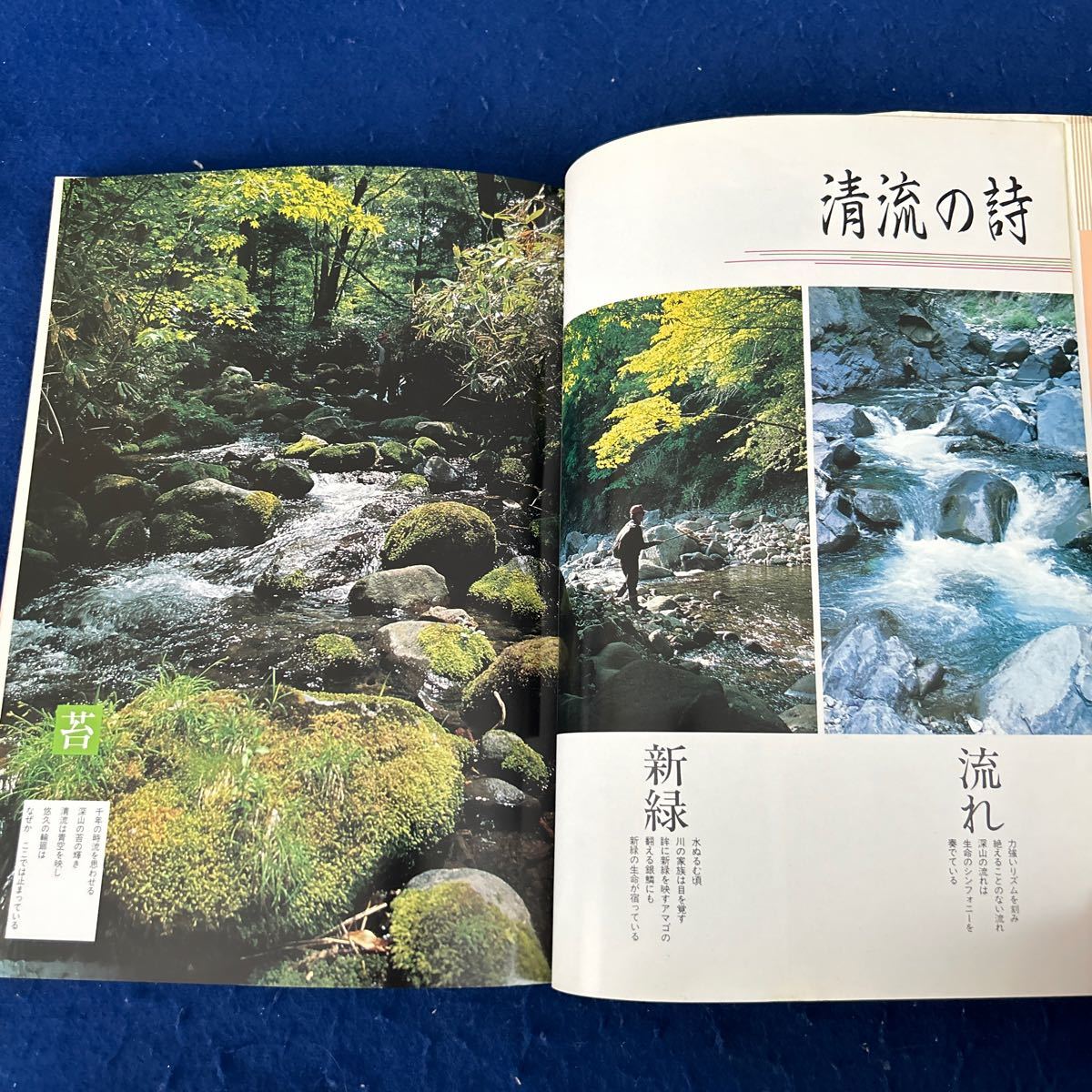 .. рыбалка . река. .6* Chuubu сборник 1* Shizuoka * Aichi * Gifu * Fukui * рыбалка * рыбалка *. гид 