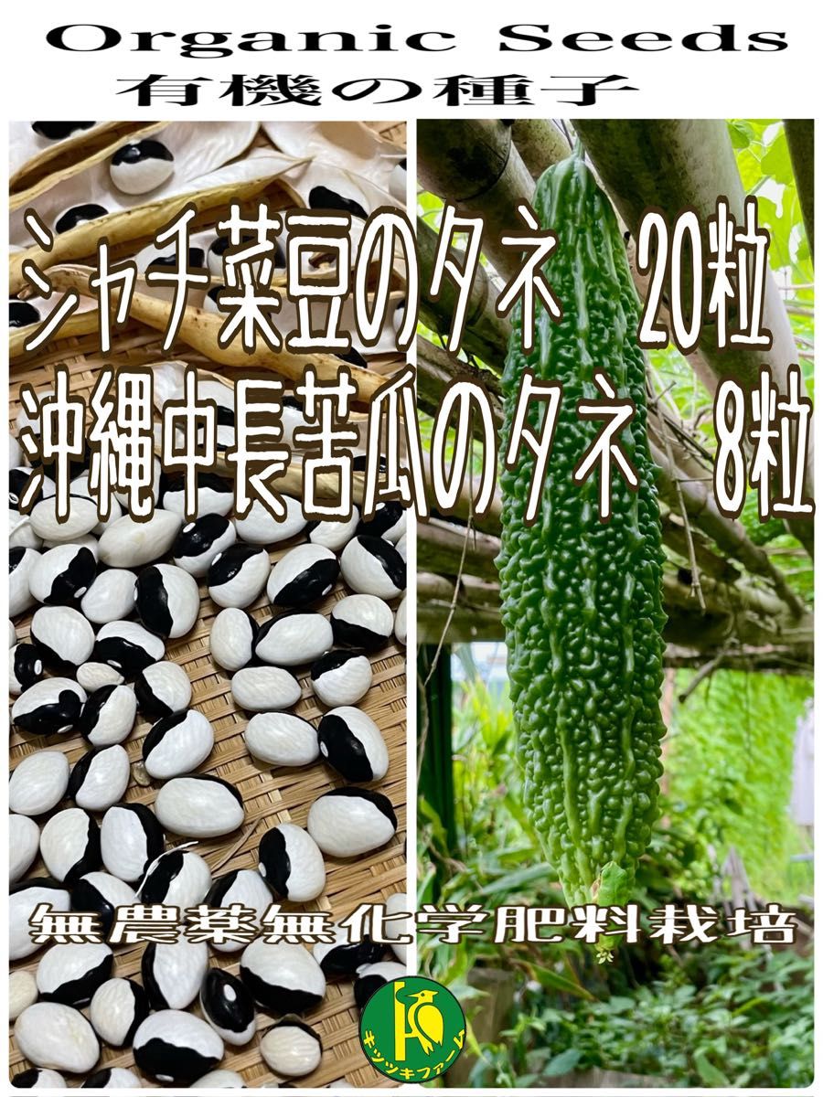 シャチ（パンダ）菜豆のタネ20粒と沖縄中長苦瓜のタネ8粒　無農薬無化学肥料栽培・有機の種子