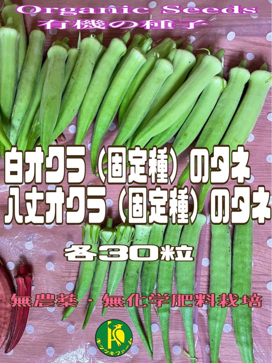 白オクラ（固定種）の種子30粒と八丈オクラ（固定種）の種子30粒　有機の種子セット