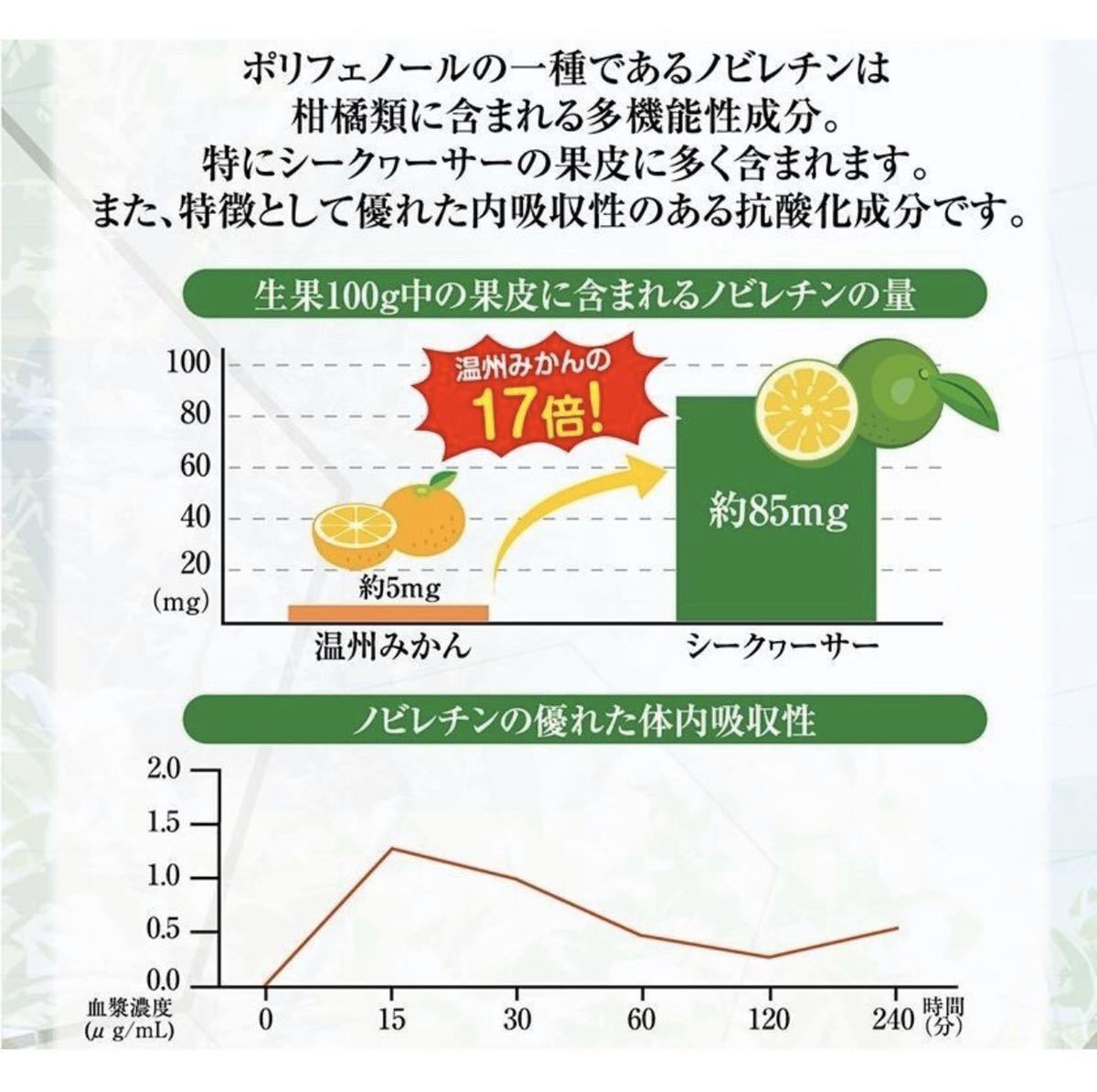 業務用 沖縄県産 シークヮーサー100％ 原液 2Ｌ 2本セット 無添加 ノビレチン 健康 青切りシークワーサーの画像4