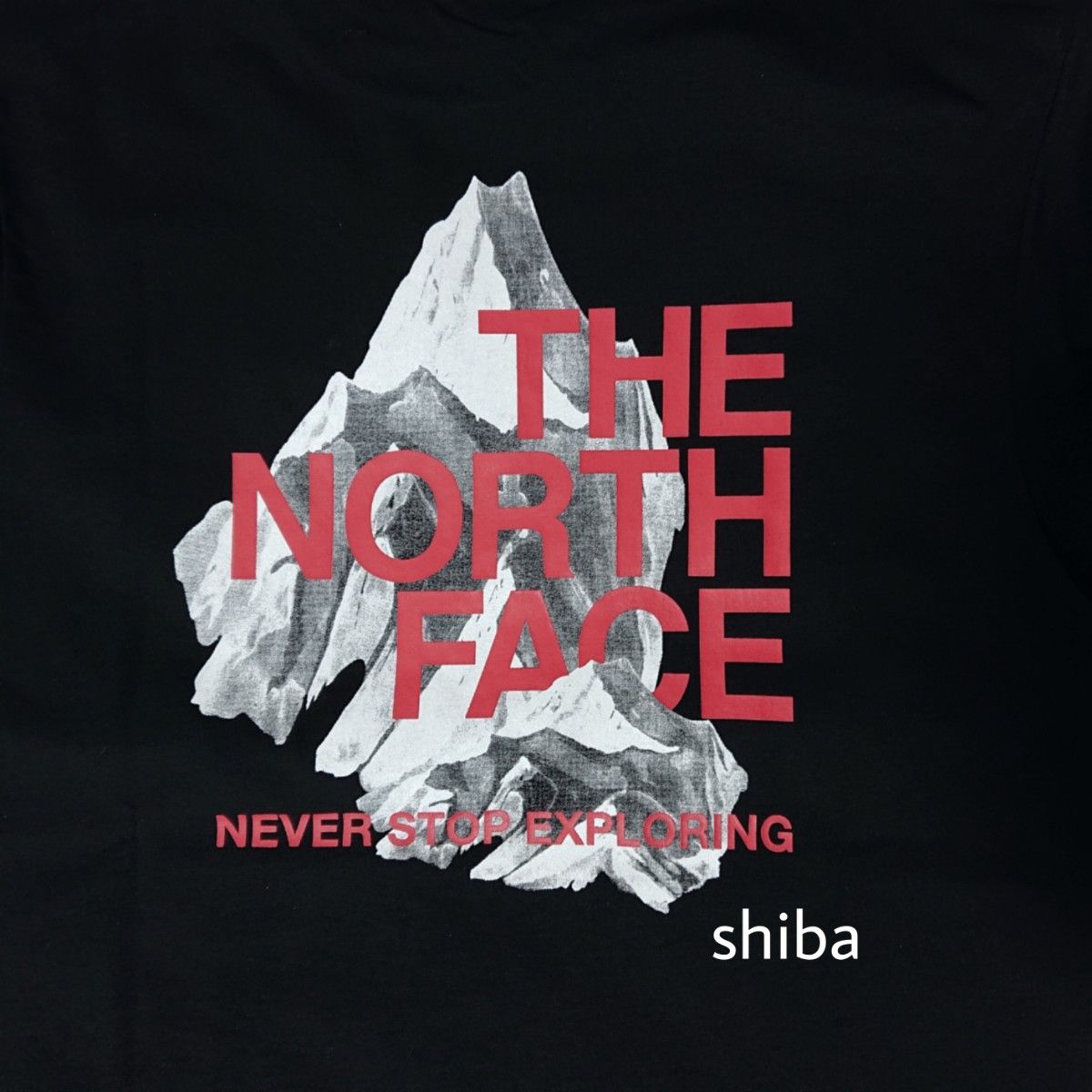 ノースフェイス 半袖 シャドウ 海外M THE NORTH FACE tシャツ BLACK 黒 ブラック 赤 レッド