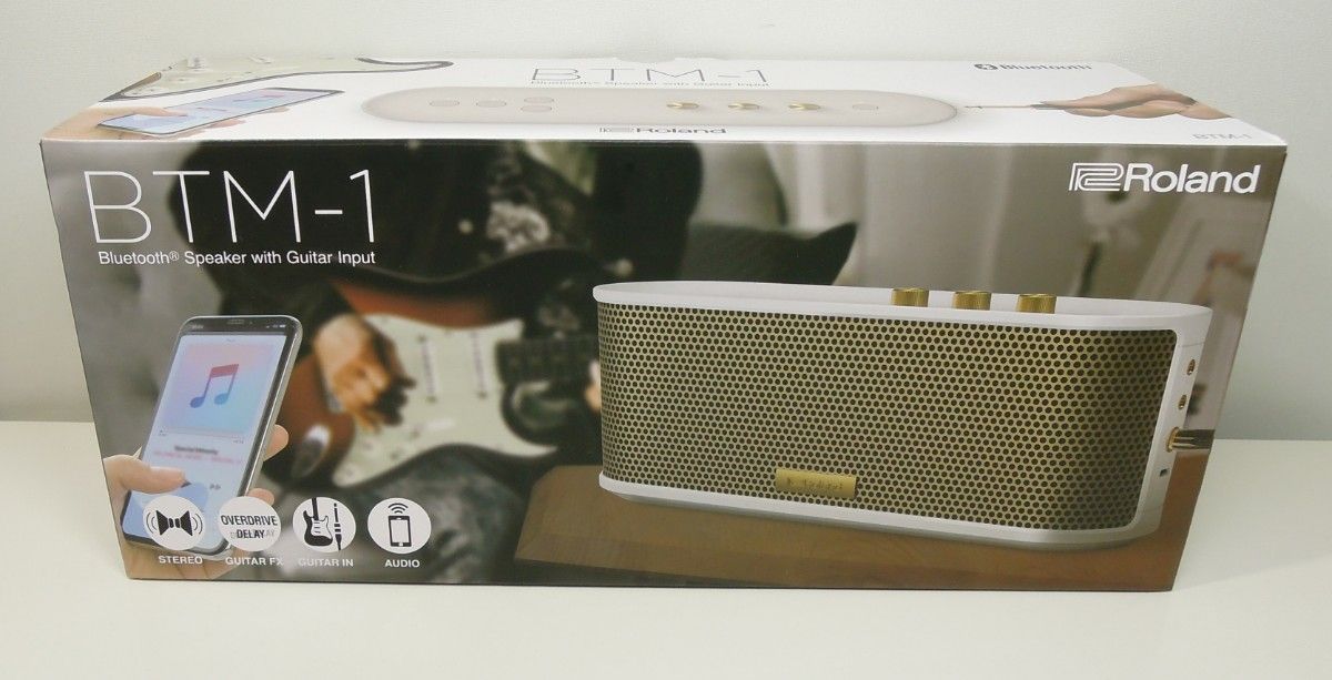 Roland BTM-1 ギターアンプ兼Bluetooth スピーカー バッテリー式 Roland BTM-1 ギターアンプ兼Bluetooth スピーカー バッテリー式