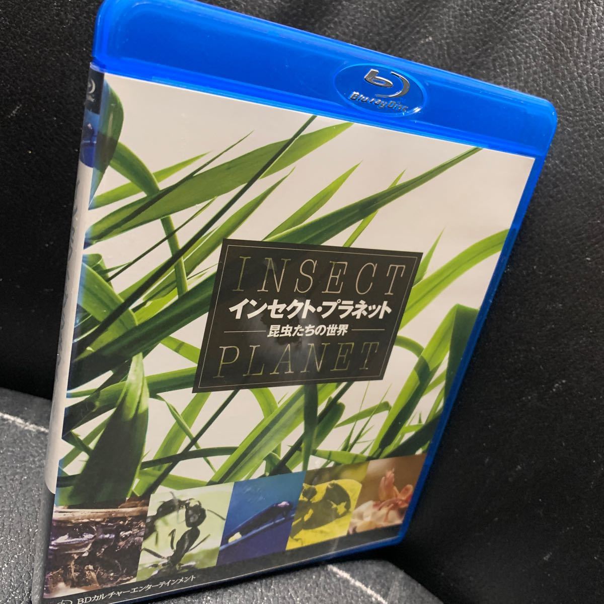 インセクト・プラネット 昆虫たちの世界(Blu-ray Disc)ブルーレイ_画像1