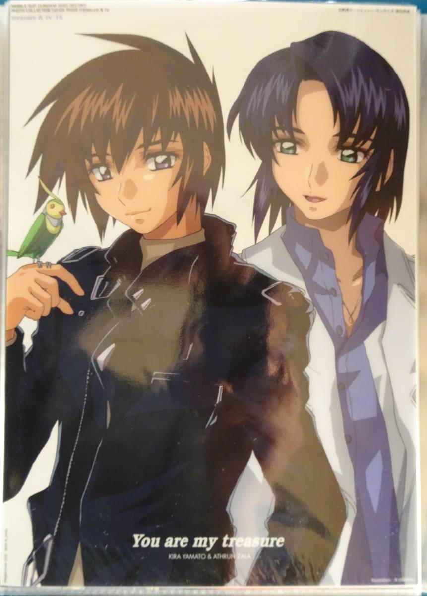 Yahoo!オークション - 機動戦士ガンダムSEED DESTINY フォト Yahoo!オークション - 機動戦士ガンダムSEED DESTINY フォト