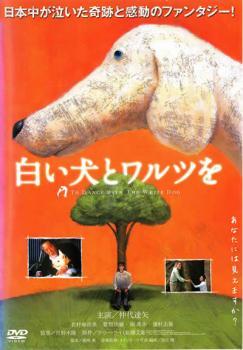 【訳あり】白い犬とワルツを ※ジャケットに難あり レンタル落ち 中古 DVD ケース無_画像1