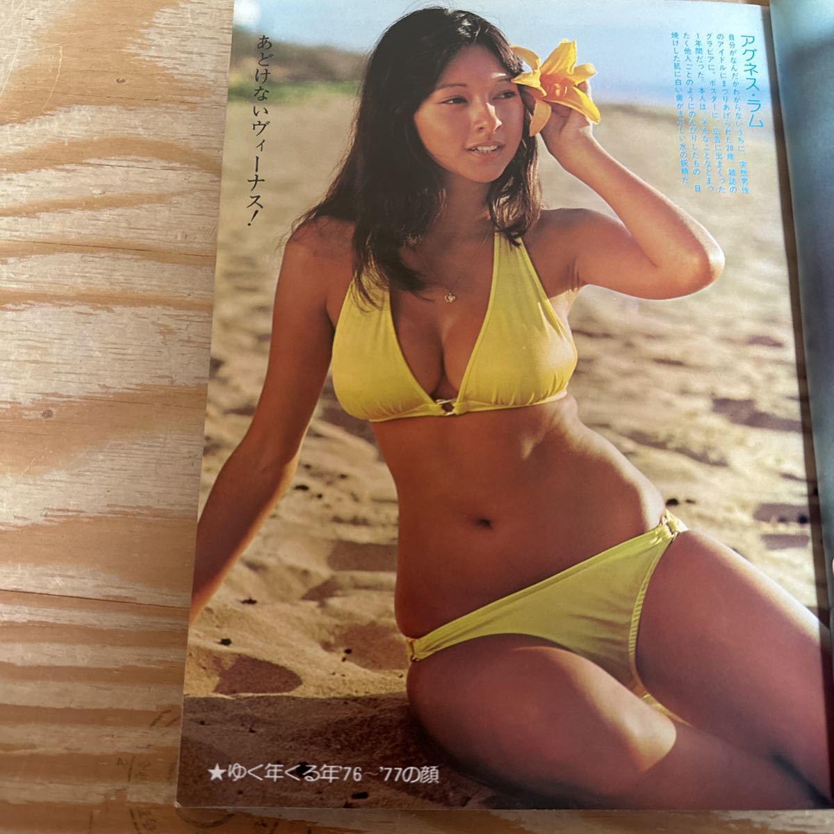Y90L3-240227 レア[週刊平凡 1977年 1月15日特別増刊 芸能界 Y90L3-240227 レア[週刊平凡 1977年 1月15日特別増刊 芸能界
