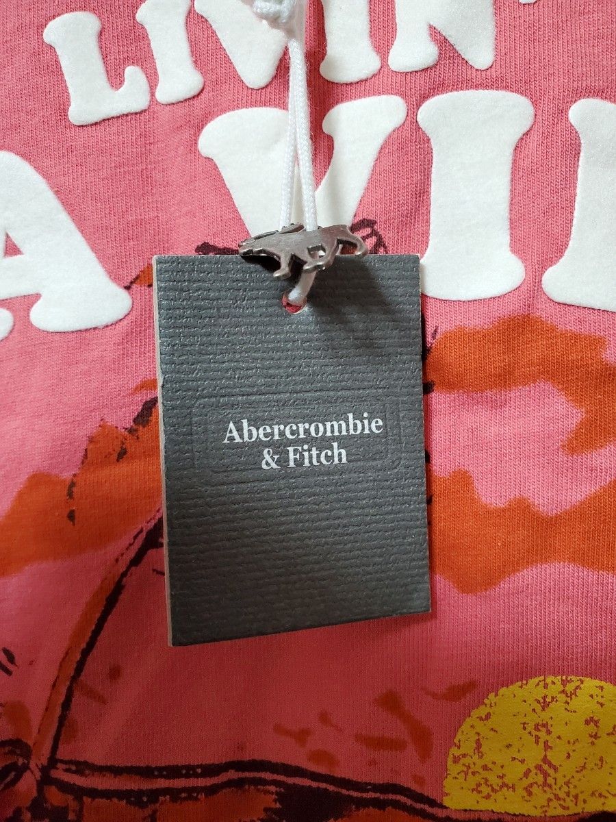 未使用品 タグ付き アバクロ アバクロンビー&フィッチ Tシャツ メンズ M Abercrombie & Fitch 