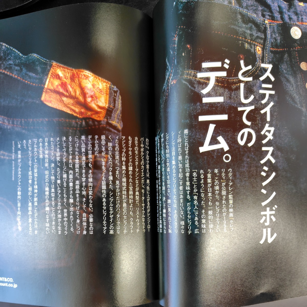 入手不可●希少レア本●別冊Lightning●デニムスタイルブック●ｖｏｌ．9の画像6