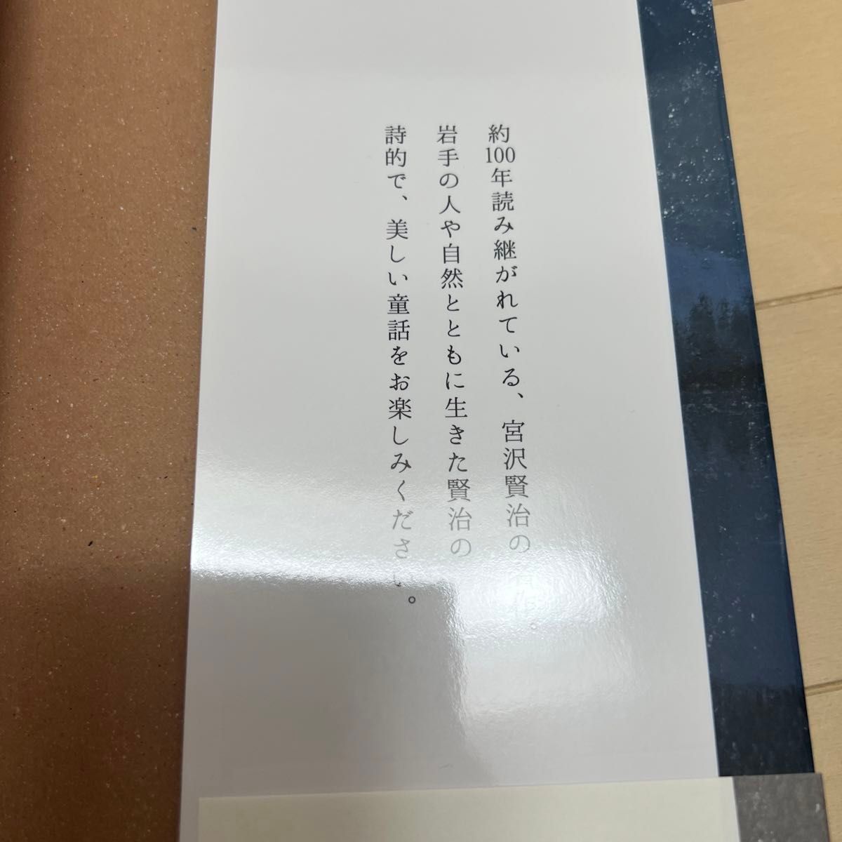 宮沢賢治童話集　注文の多い料理店・セロひきのゴーシュなど （１００年読み継がれる名作） 宮沢賢治／著　日下明／絵　鬼塚りつ子／監修