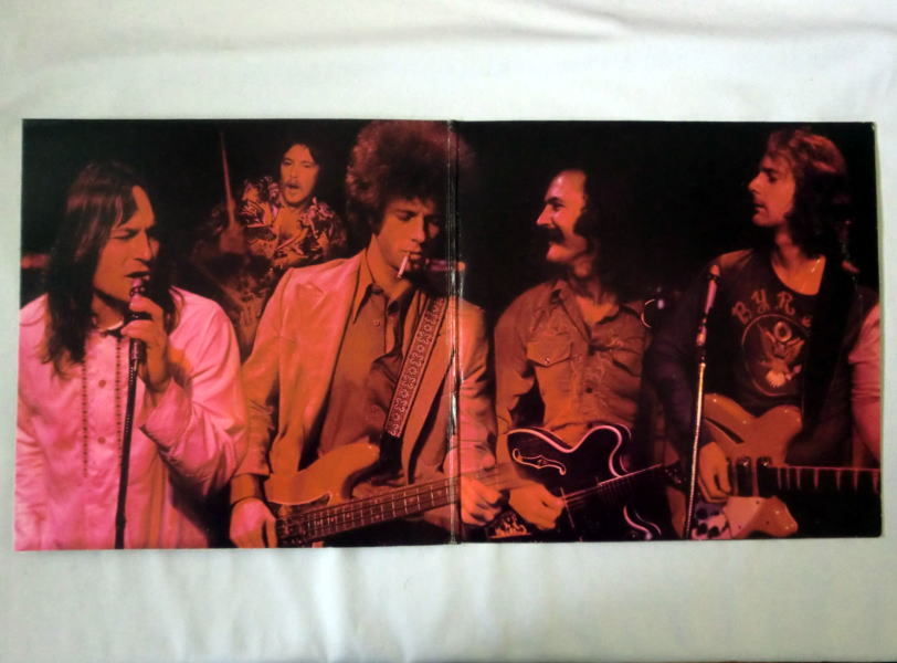 LP「バーズ／Byrds」USA輸入盤 1973年 ASYLUM RECORDS 品番SD-5058 再生確認済音飛びなし 注意：帯歌詞カードなし