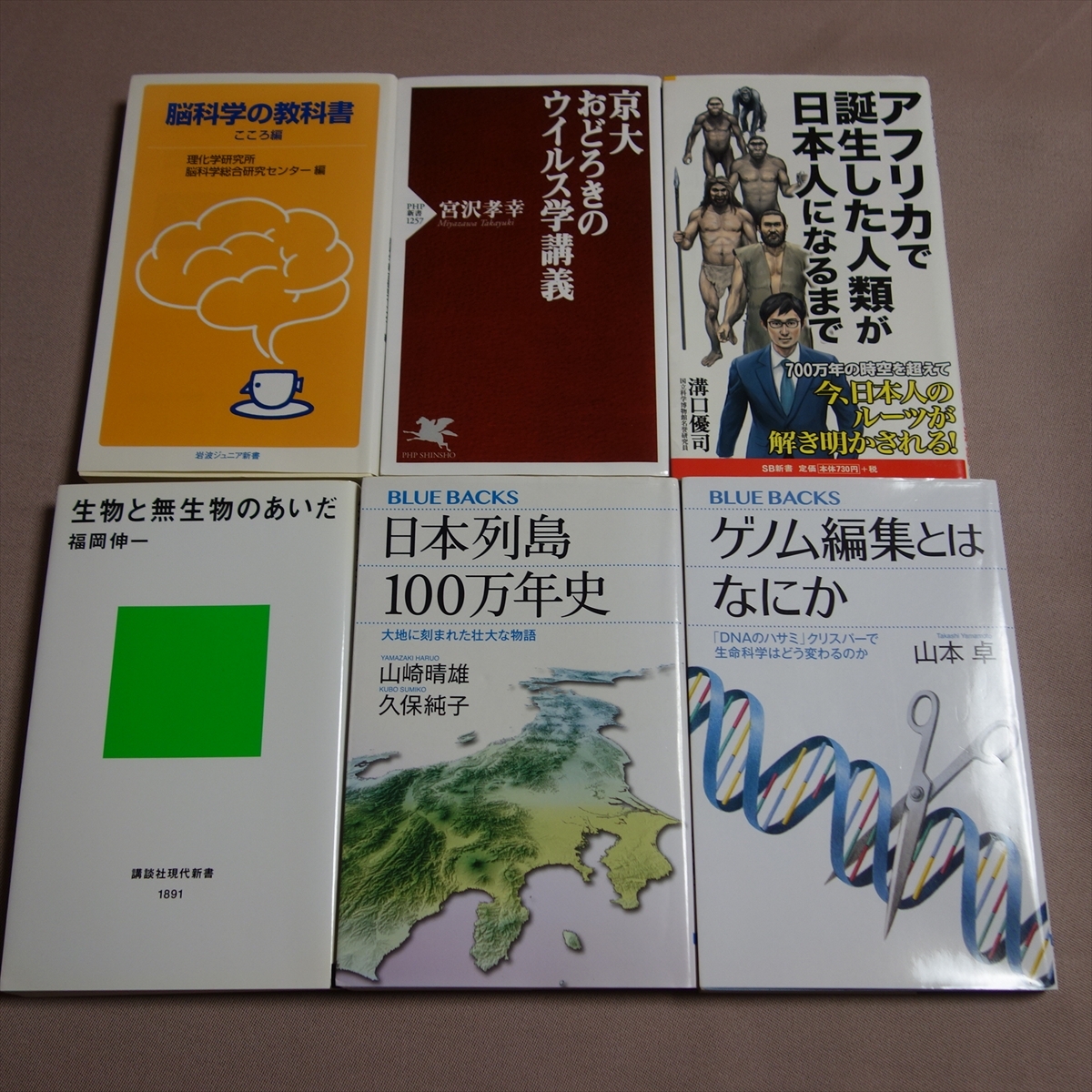新書 ブルーバックス 6冊 日本列島100万年史 ゲノム編集とはなにか 脳科学の教科書 こころ編 生物と無生物のあいだ 他の画像1