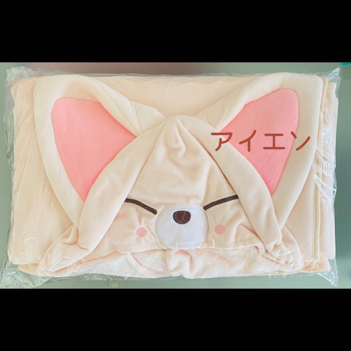 Skzooブランケット アイエン フォクシニー アイエン フォクシニー SKZOO ブランケット