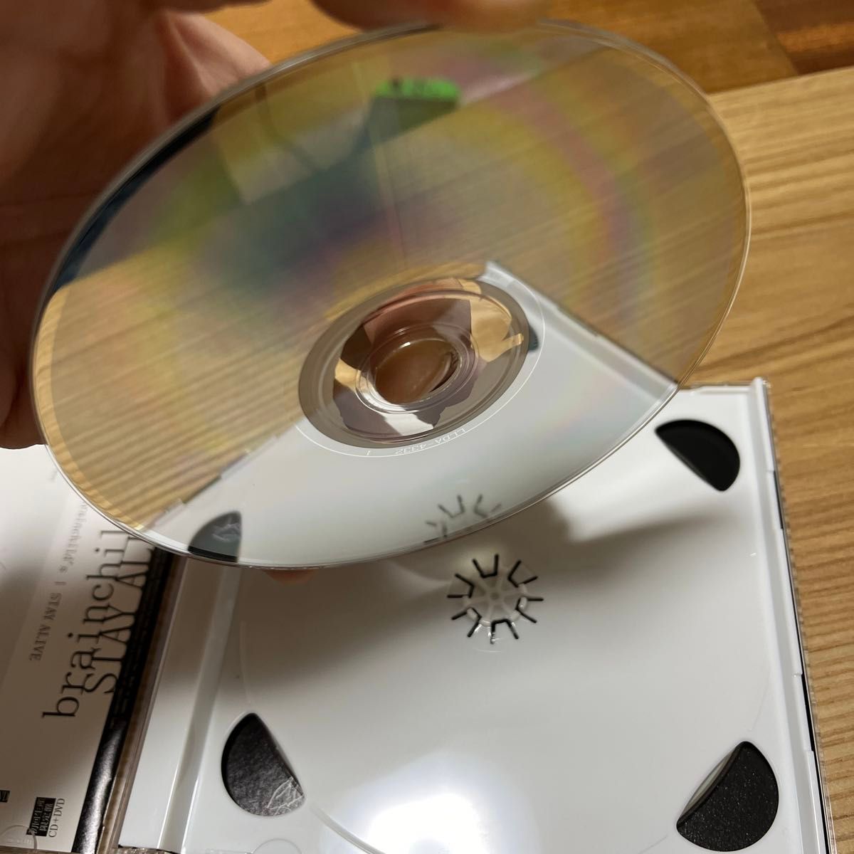 初回生産限定盤 （取） brainchilds CD+DVD/STAY ALIVE 18/4/11発売 オリコン加盟店