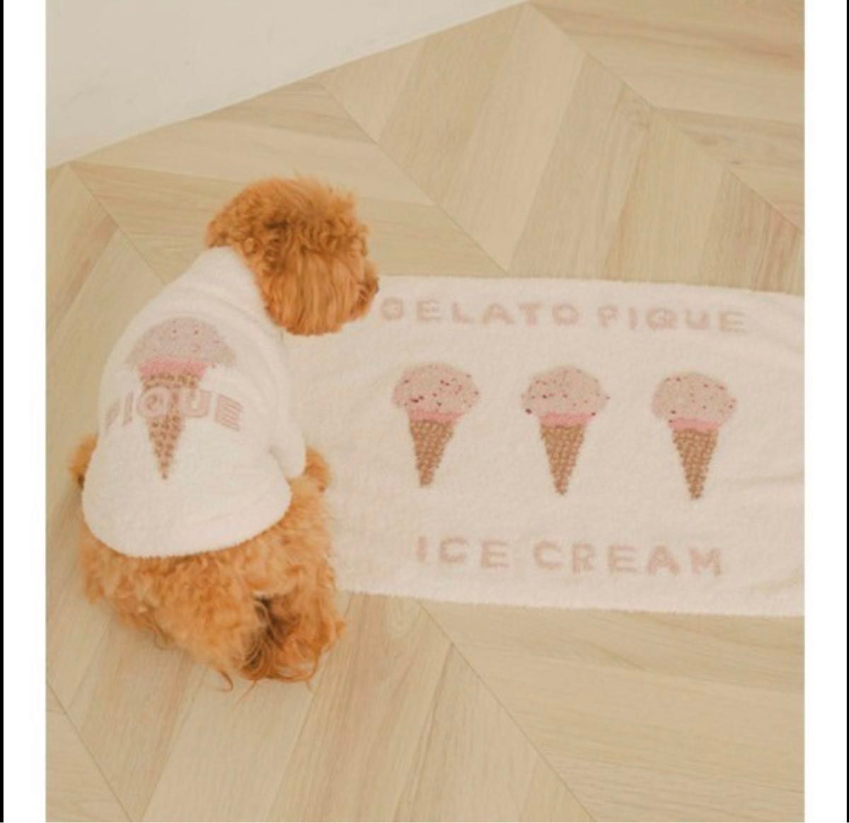 ジェラートピケ ペット 「CAT&DOG」「販路限定商品」 ベビモコ ジェラートピケ ペット 「CAT&DOG」「販路限定商品」 ベビモコ
