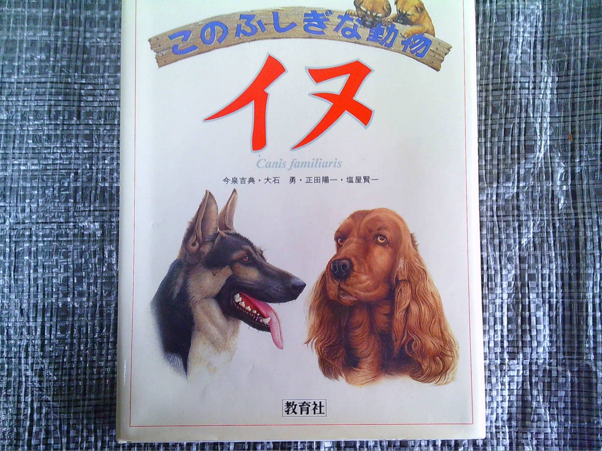  собака. книга@ собака Kyoikusha это тайна . животное 1 шт. магазин регулировка товар 