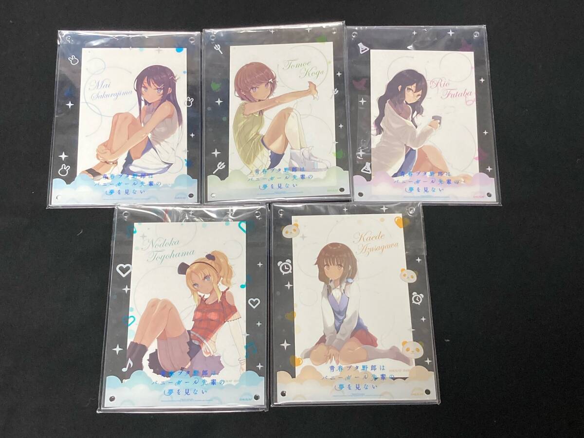 青春ブタ野郎はバニーガール先輩の夢を見ない ANIPLEX+ BD/DVD 各巻 青春ブタ野郎はバニーガール先輩の夢を見ない ANIPLEX+ BD/DVD 各巻