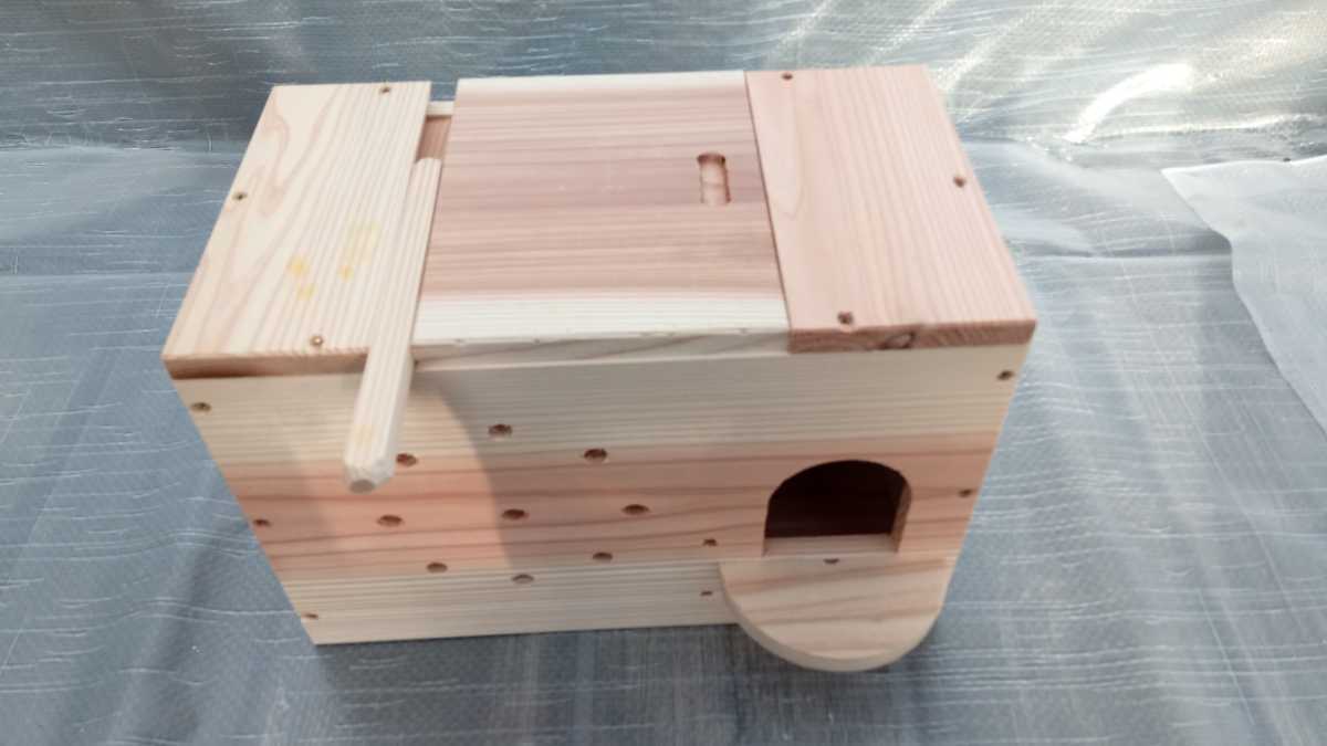 *o turtle parakeet. nest box *