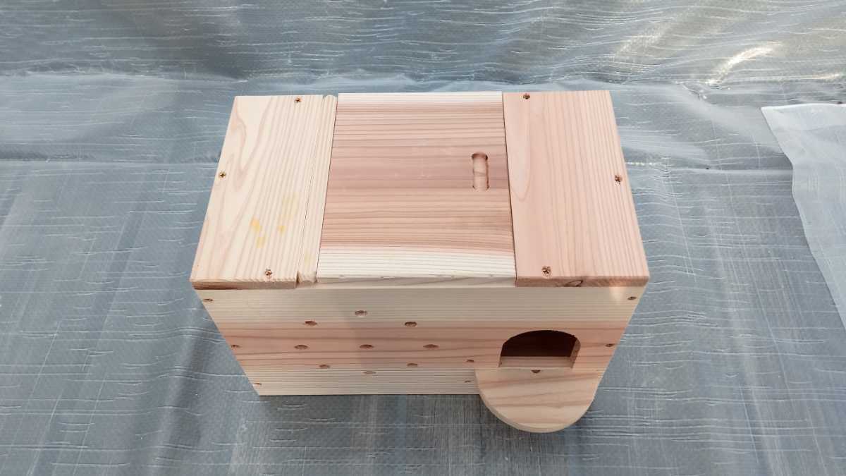 *o turtle parakeet. nest box *