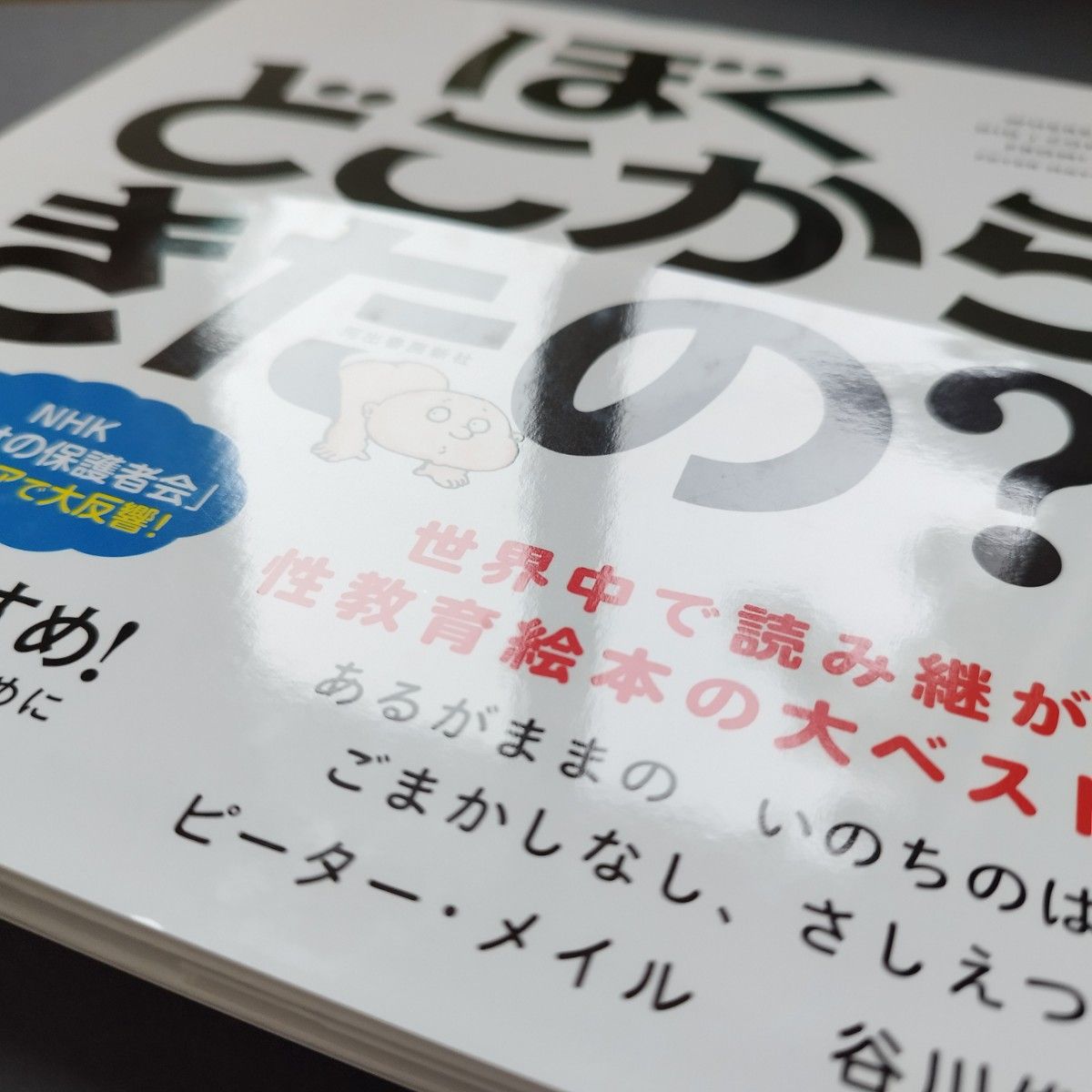 ぼくどこからきたの？　あるがままのいのちのはなしハンディ版　新装版 ピーター・メイル　アーサー・ロビンス　谷川俊太郎　性教育　教育