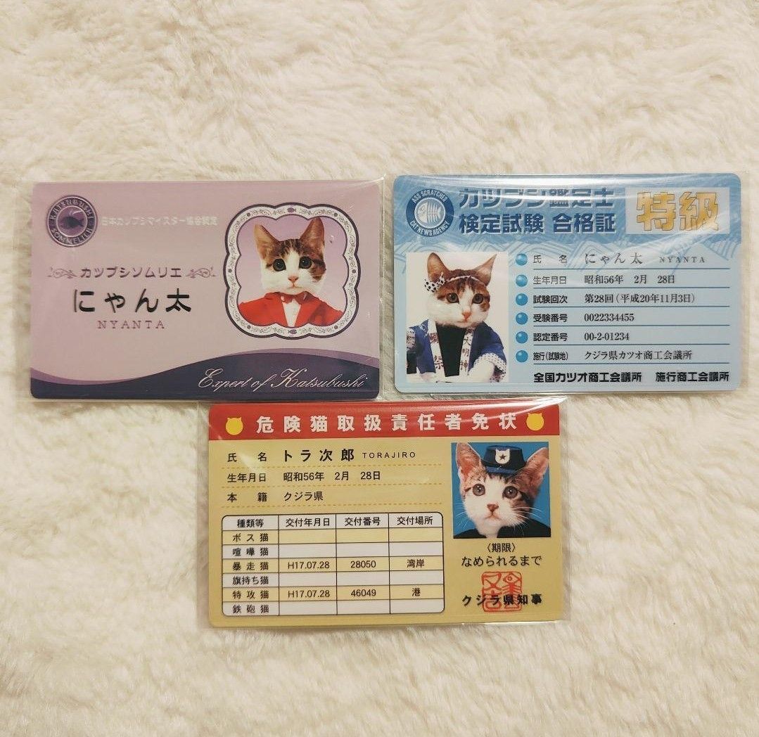 【No.N-003】なめ猫 なめんなよ カードコレクション2 3枚セット