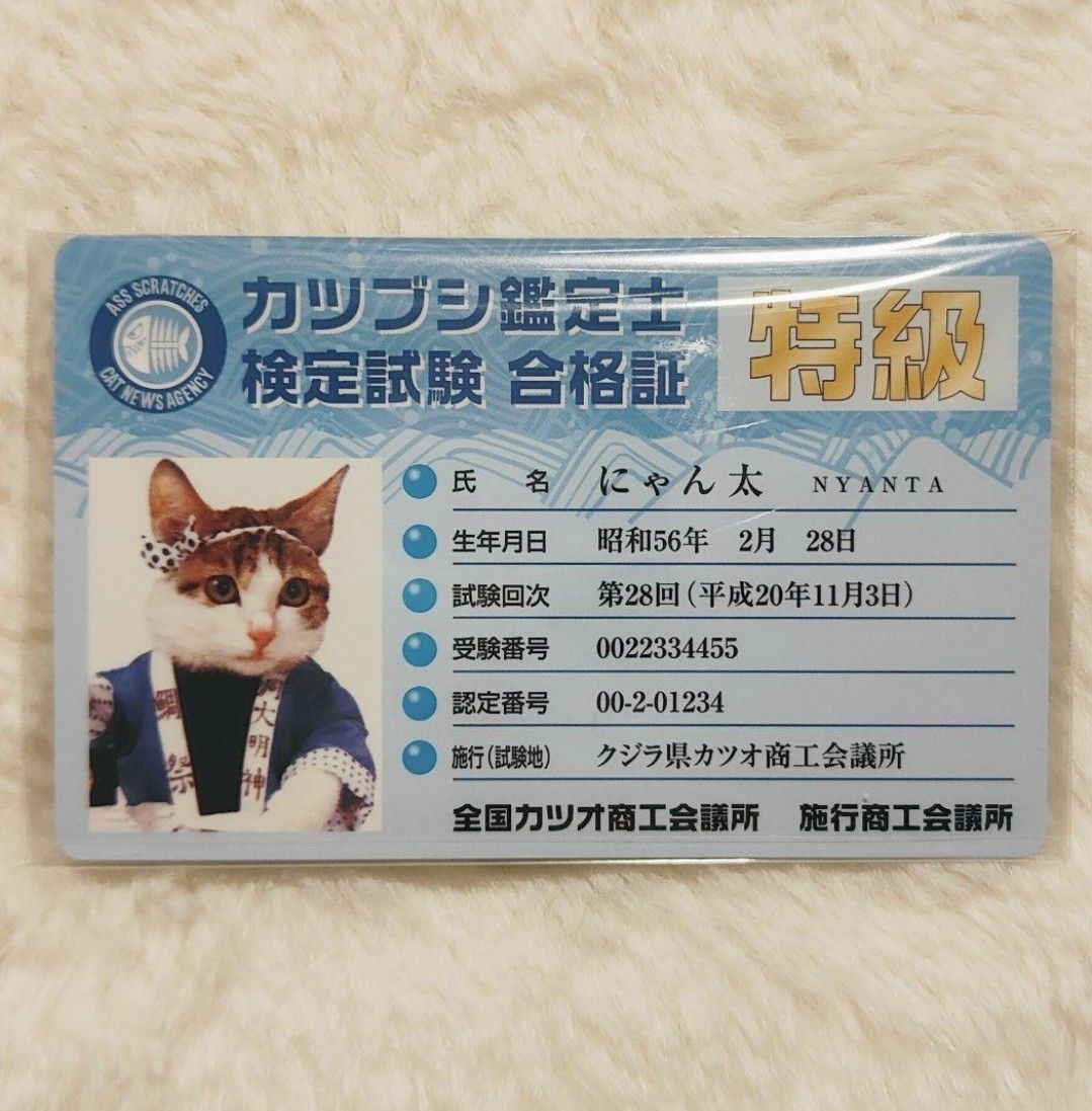 【No.N-003】なめ猫 なめんなよ カードコレクション2 3枚セット