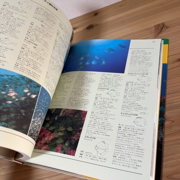 ニヲ◆0228s[日本動物大百科 6 魚類] 平凡社 2000年_画像4