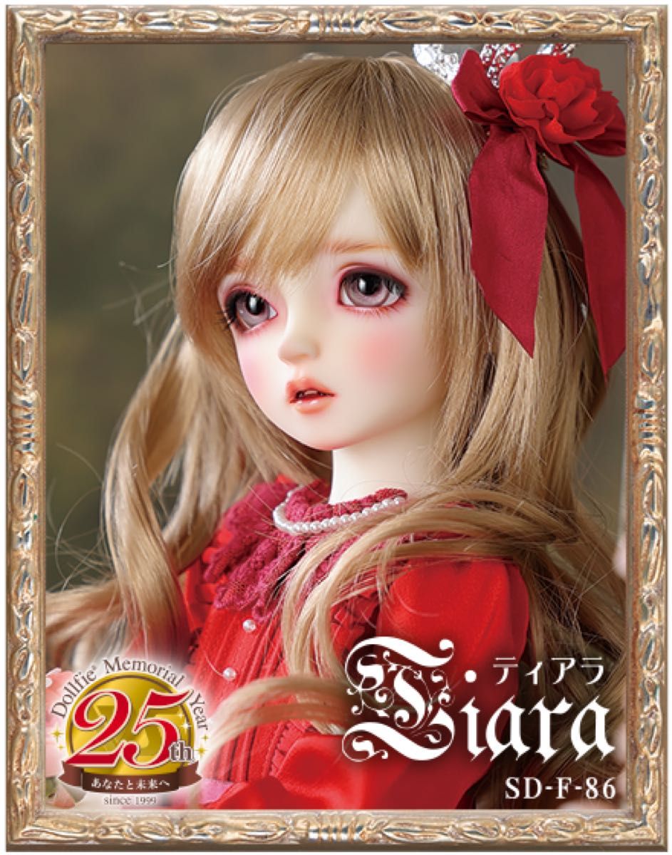 新品フルセット　ボークス　Volks Dear SD DSD ティアラ Tiara 無記名認定証 天使の里　25周年