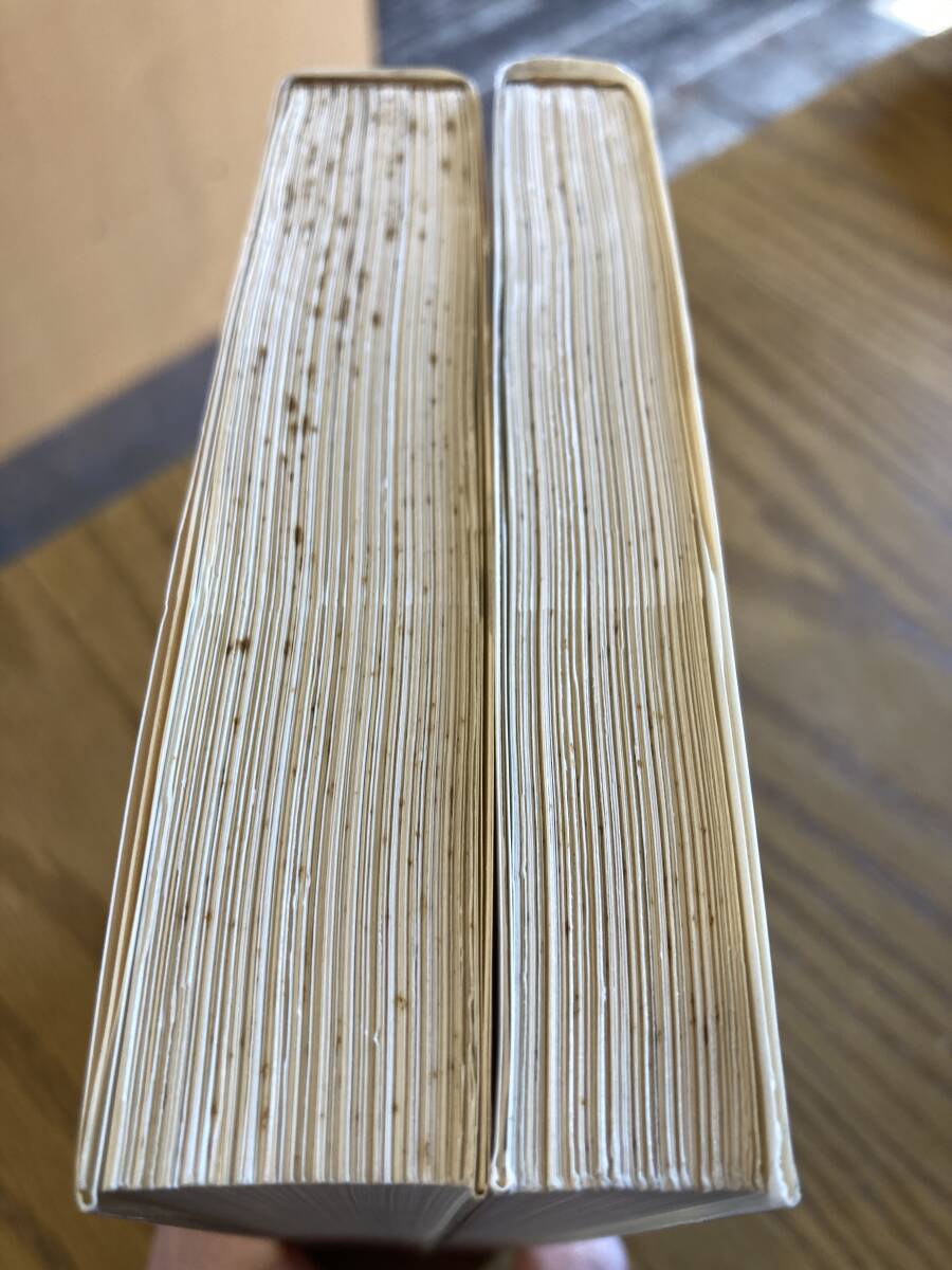 文化の解釈学 全2冊 C.ギアーツ 岩波現代選書 - 哲学、思想 文化の解釈学 全2冊 C.ギアーツ 岩波現代選書 - 哲学、思想