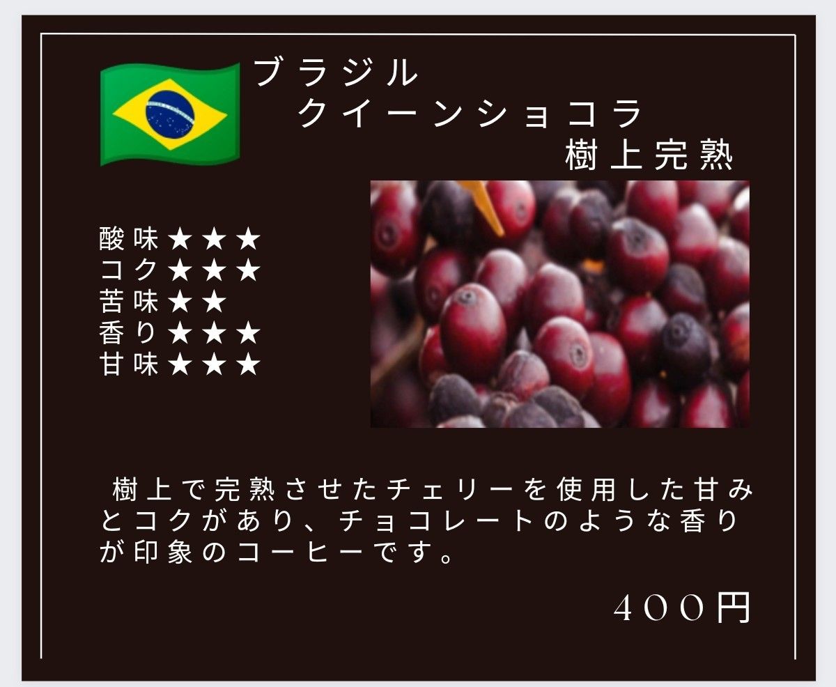 自家焙煎屋　珈琲豆　coffee　ブラジル　クイーンショコラ樹上完熟　300g
