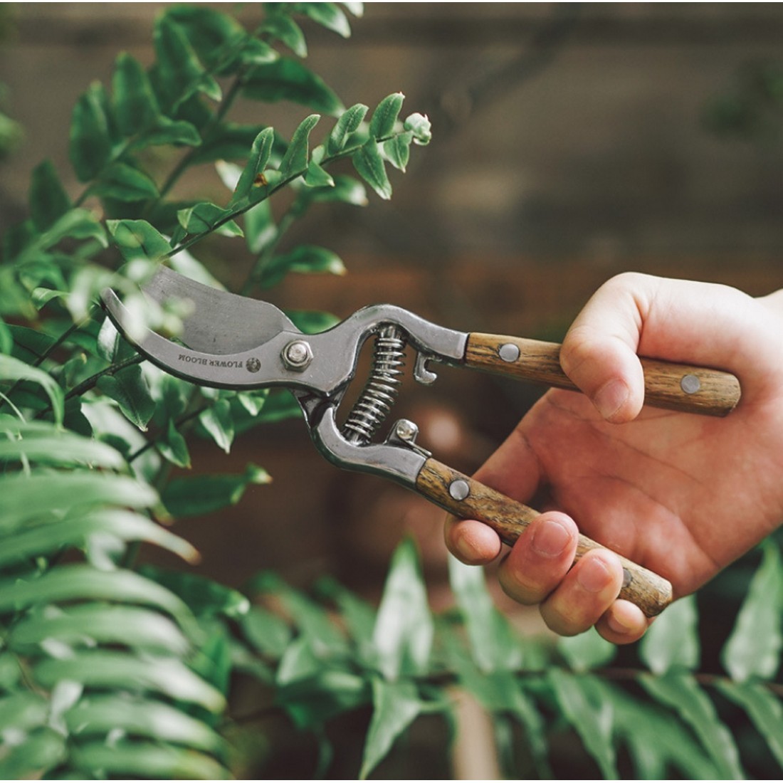  pruning basami scissors for gardening aperture width adjustment possibility pruning fruit tree . garden. tree bonsai pruning tool gardening work pruning scissors gardening for knife 
