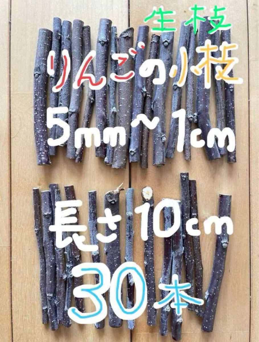[30ps.@](2/6 pruning ) apple. twig 10cm ( raw branch gnawing wood ) Iwate prefecture production . pesticide 