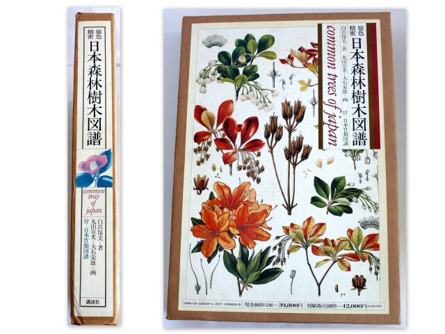 617/ secondhand book /. color precise Japan forest . tree map . attaching - Japan bamboo kind map . attaching white . guarantee beautiful work Showa era 58 year no. 1.* large illustrated reference book approximately 38.5cm×27cm4 B4 size .. little large 